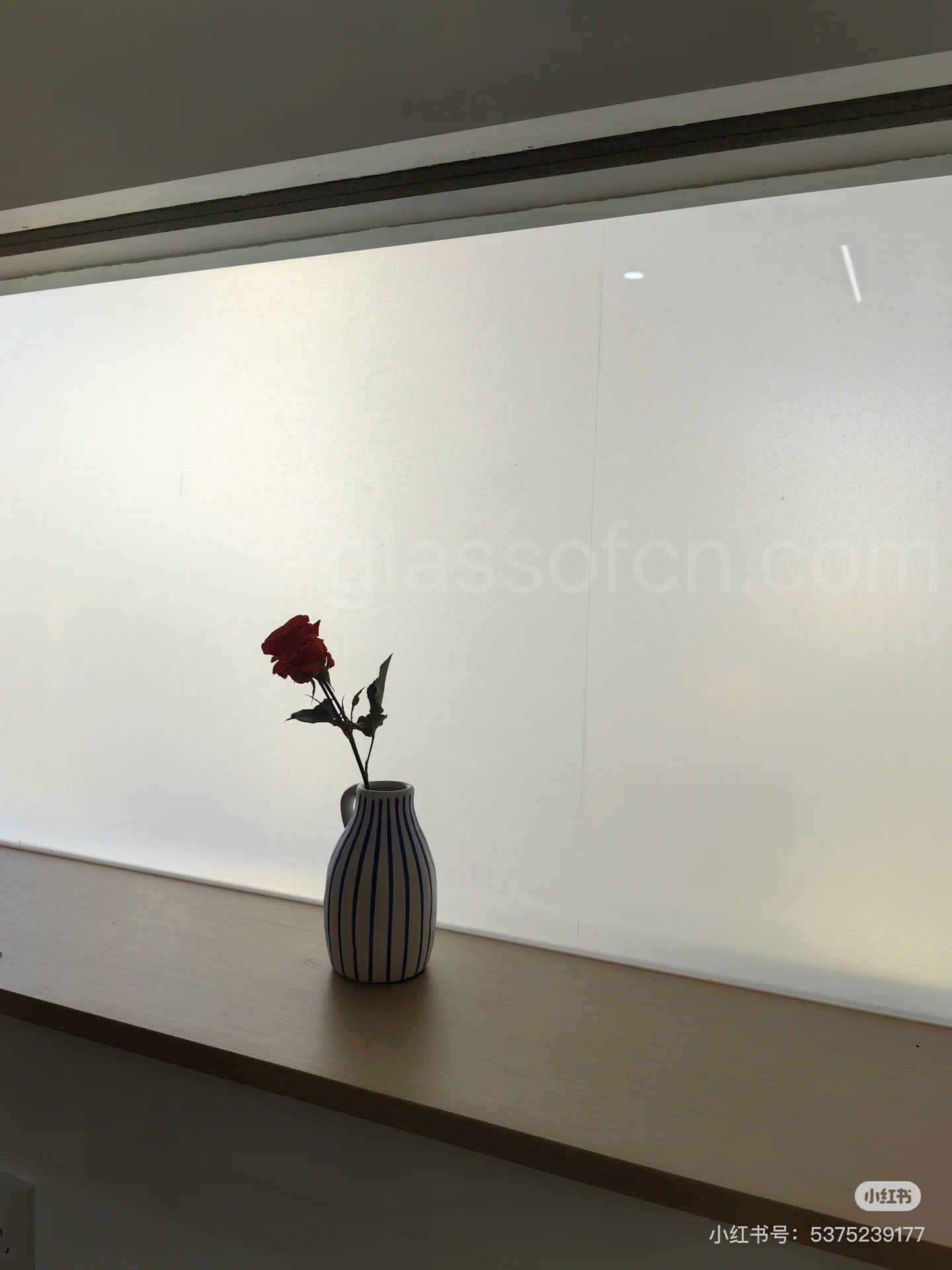 acid etched glass 333.jpg